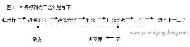 牡丹籽油榨油精（jīng）煉生（shēng）產線(圖5)